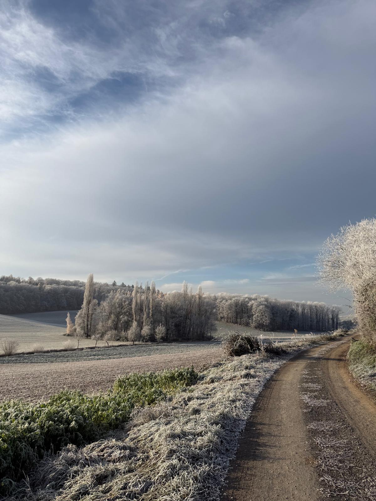 Frostige Landschaft im Kraichgau